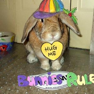 BunnyLover506 BunnyLover506