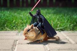 And so Darth Vader and the chipmunk road of into the sunset. THE END