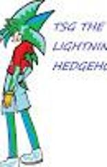 TSG_The_Lightning_Hedgehog