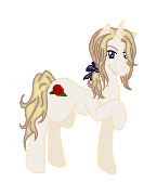 APH France as a pony